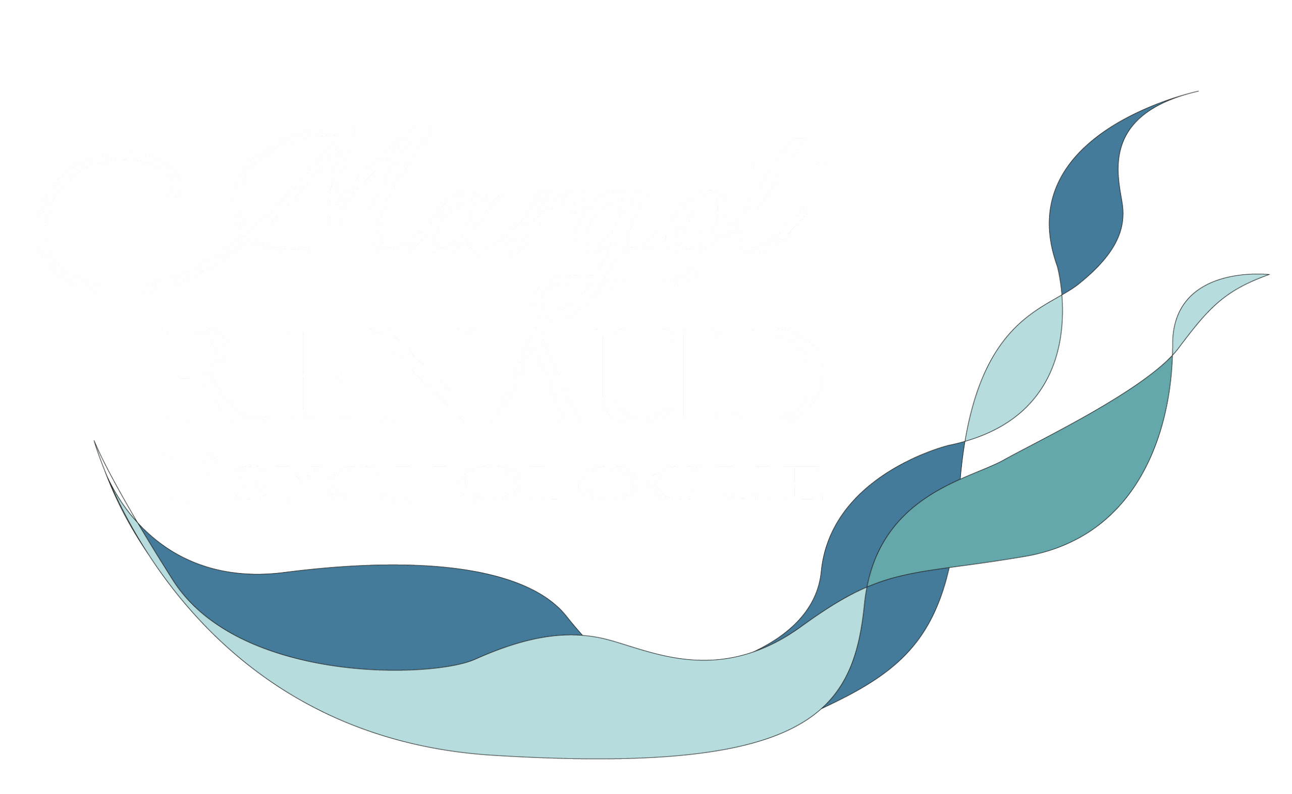 Logo sans fond écriture blanche modifiée MR